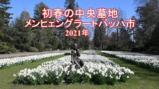 初春の中央墓地　2021年　メンヒェングラートバッハ市