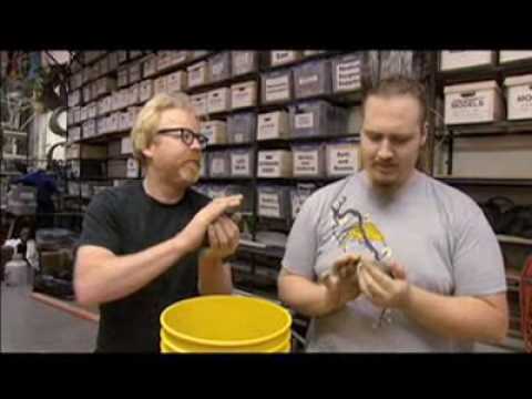 Mythbusters polishing a turd