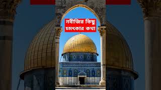 নবীজির কিছু চমৎকার কথা#shorts #short#shortsvideos#shorvideo#islamicshort #history #fact