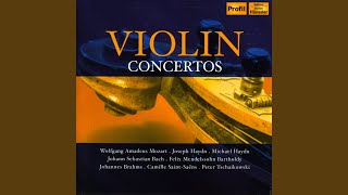 Violin Concerto No. 3 in B Minor, Op. 61: II. Andantino quasi allegretto