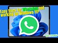 How to Fix WhatsApp not working on Windows 11?