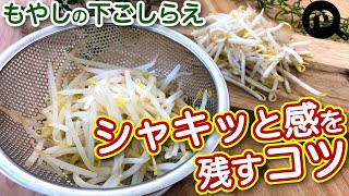 もやしの茹で方と洗い方　シャキッと感を残すコツ　N.D.Kitchen Basic