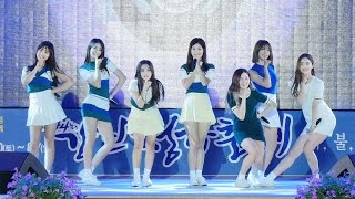 160804 다이아(DIA) - 내 친구의 남자친구(My Friend's Boyfriend) @강진청자축제 / 직캠(Fancam) By 쵸리