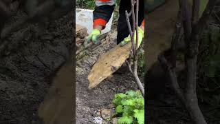 BUILDING A STONE WALL #build #stonework #landscaping