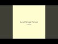 Sunset Whisper Harmony