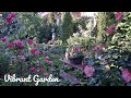 My Lush Backyard Garden Tour | Vibrant Perennial Flowers