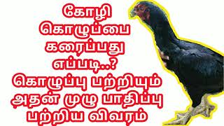 Kozhi kozhupai karaipathu epadi#கோழி கொழுப்பை கரைப்பது எப்படி #கோழி முட்டை இட வில்லையா தீர்வு