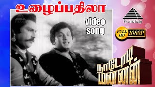 உழைப்பதிலா உழைப்பை HD Video Song | M.G. ராமசந்திரன் |  M.N. நம்பியார்  |சுப்பையா நாயுடு