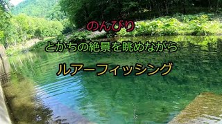 北海道十勝　絶景で渓流ルアーフィッシング！化け物トラウトは現れるか？