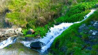 Water Flowing And Bird Sounds In A Cascade- Relax, Meditate and Fall Asleep