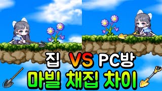 메이플 집vs피시방 마빌 채집 얼마나 차이날까 [메소 버는법]