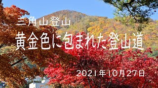 ［北海道の自然と風景4K］紅葉三角山登山2021/10/27