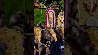 Killikkav pooram #kerala #pooram #pooram2023