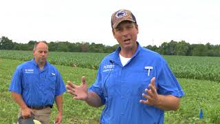 Part 1: How to Determine Soybean Population Stand Count - Pa. On-Farm Network