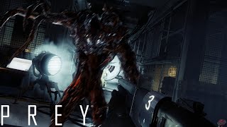 ПЕРЕЗАГРУЗКА СИСТЕМЫ ► Prey #10