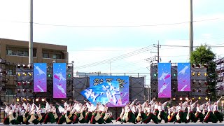 【4K】東京学生“生っ粋”(第41回 朝霞市民まつり 彩夏祭/マイタウン北朝霞ステージ)