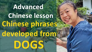 Advanced Chinese lesson : 4 types of Chinese phrases developed from DOGS