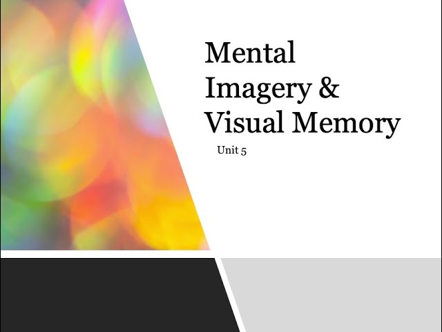 Visual Imagery Psychology