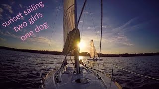 Sunset regatta, sailing with dog on beneteau first 20 performance