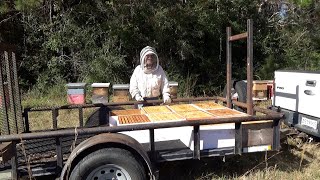 It's December and it's time to prepare our hives for splits.