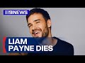 Former One Direction member Liam Payne dies aged 31 | 9 News Australia