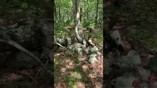 Brian Ghilliotti: Old Lyme, CT: Old Lyme Boulder Fields: Indian Marker Tree, Isolated Wall Segment