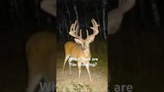 What buck are you choosing? #deer #deerhunting #whitetaildeer #subscribe #youtubeshorts #shorts