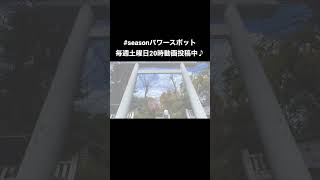 【日本で唯一の八難除け】日常で起こるあらゆる厄を取り払いたい方必見❗️4K〜阿佐ヶ谷神明宮〜#神社#パワースポット  #厄除け