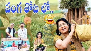 పెళ్ళైన కొత్తలో..😭😭 || వంగ తోట లో సందడి 🤣 || చిత్రమైన పాము పుట్ట 😍|| Vijayas Harivillu