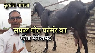 बकरी ब्रीडर और ईद के बकरो का पूरे साल का डाइट प्लान | goats diet plan | sukant chawla | pkraj vlogs