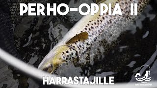 Perho-oppia II  -  Harrastajille