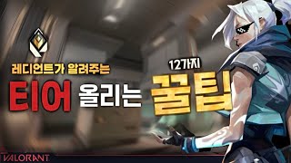 레디언트가 알려주는 티어올리는 12가지 꿀팁