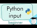 Python Input | Simple Tutorial | #Shorts