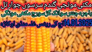 maize rate today// mustard seed price today//paddy rate today//wheat price// sarson jawar bajrah