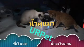 น้ำพุแมวอัตโนมัติ URPet