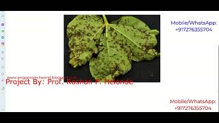 Cotton Plant Disease Detection Using Image Processing Python Project With Source Code Cotton Plant