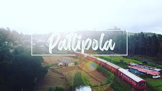 Pattipola | පට්ටිපොල - Sri Lankan Railways  🇱🇰