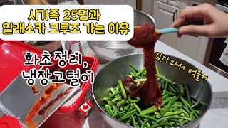 여행전 식집사의 냉장고 털이반찬, 화초정리, 초간편 마늘쫑장아찌, 깻잎김치