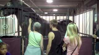 Coopers at the Indiana State Fair