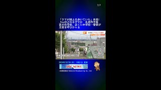 「クマが路上を歩いていた」体長1.5ｍほどの子グマか　札幌市手稲区の住宅街、近くに中学校…警察が注意を呼びかｋる #Shorts