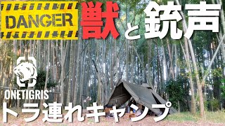 【ワンティグリス】超危険なソロキャンプ【コニファー】