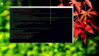 How to create a mesh by using a python script with Salome in Windows?