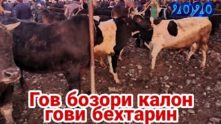 молбозори КАЛОН 2 част пахтаобод регар