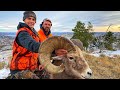 Sheep Hunting Giant Ram in Montana!