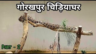 Gorakhpur Zoo | Snake House Gorakhpur Zoo | गोरखपुर चिड़ियाघर | Part - 2 | Gorakhpur