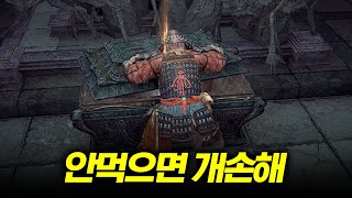 이게 그렇게 좋아? 일단엔딩 07화 | 엘든링 공략