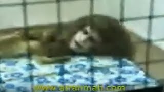This Video Scarred Me