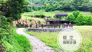 【親子自然步道】貓空樟樹步道  肉腳級親子步道