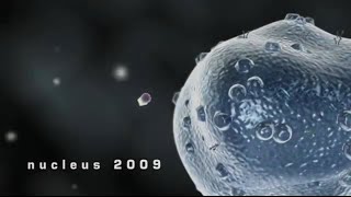 AMAZING: Nucleus Animation Demo Reel (2009)