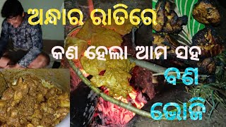 ରବିବାର ରାତିରେ ବଣ ଭୋଜି ଗାଁ ସାଙ୍ଗ ମାନଙ୍କ ସହ MK Baral Vlog